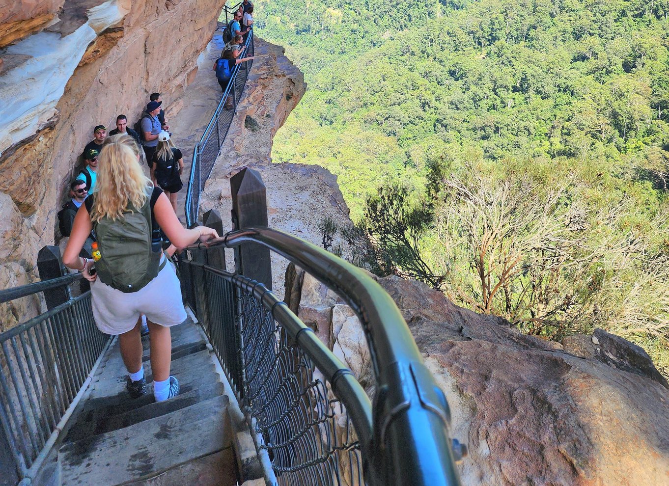 Fra Sydney: Blue Mountains-tur med vandfaldsvandring og frokost