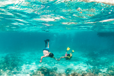 White Island & RasMohamed National Park Snorkeling Boat Trip