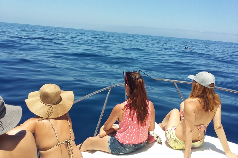 Tenerife: Crucero de avistamiento de ballenas con snorkel y almuerzo