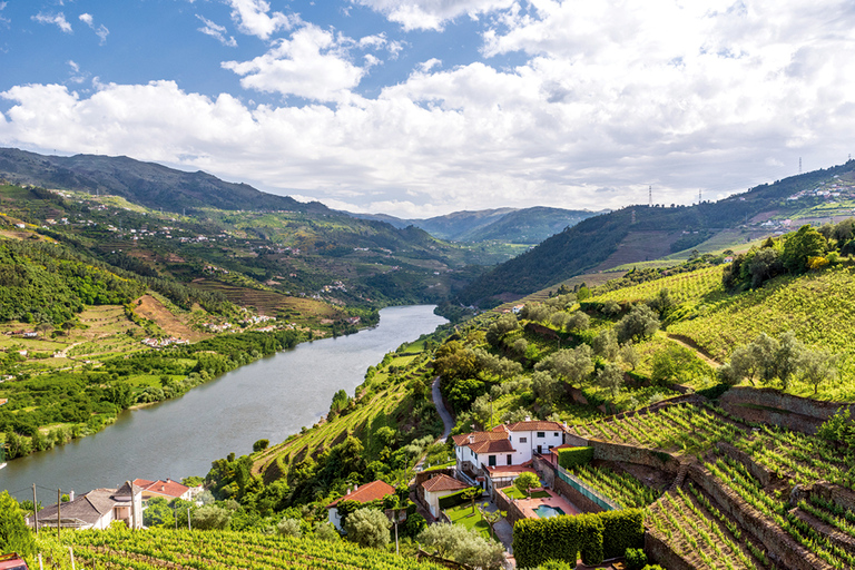 Ab Porto: Tagestour durch die Region Minho