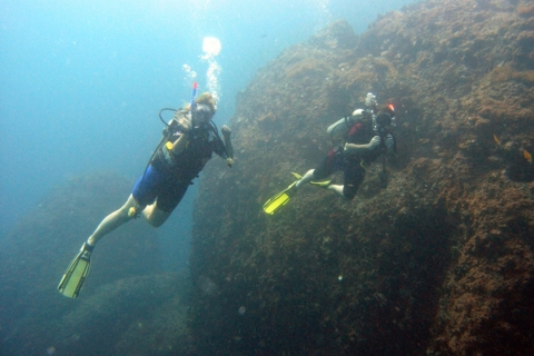 Sharm El-Sheikh :Scuba Diving 2 Dives From The Shore