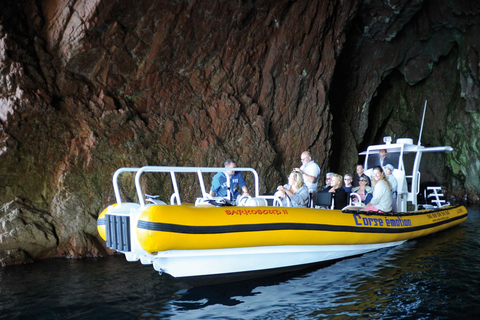 From Porto: Calanche de Piana and Capo Rosso Boat Tour