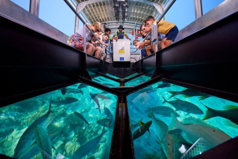 Glass Bottom Boat Cruise And Coral Reef Viewing