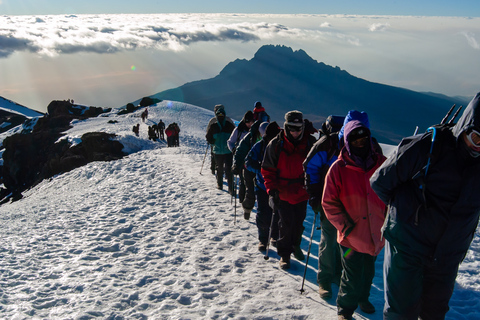 Escalada de 7 días a la Ruta Machame del Kilimanjaro