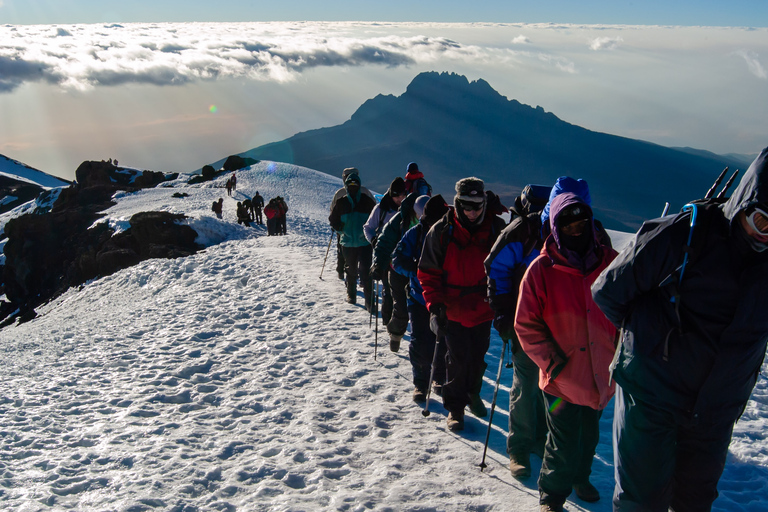 Escalada de 7 días a la Ruta Machame del Kilimanjaro