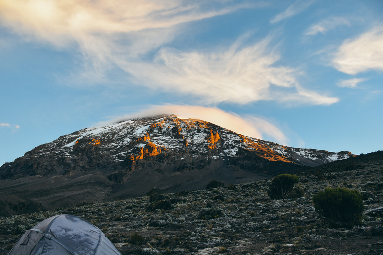 Escalada de 7 días a la Ruta Machame del Kilimanjaro