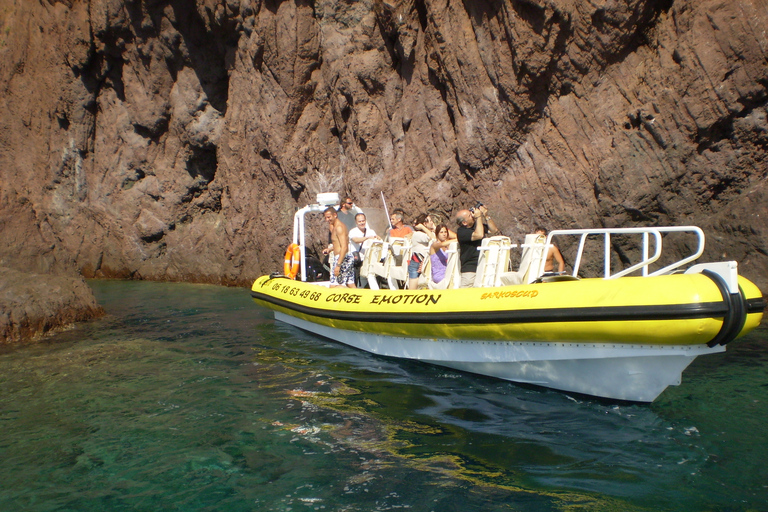 Desde Oporto: Excursión en barco por Calanche de Piana y Capo Rosso