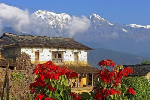 Da Pokhara: escursione di un giorno con vista panoramica sull'Annapurna