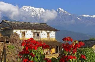 Von Pokhara aus: Geführte Tageswanderung mit Annapurna-Panoramablick
