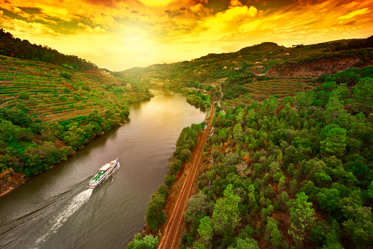 From Porto: Full-Day Douro Historical TourPorto: Full-Day Douro Tour