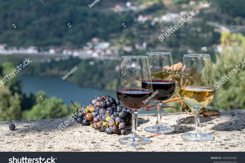 From Porto: Full-Day Douro Historical TourPorto: Full-Day Douro Tour