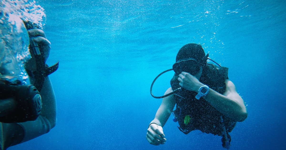 Fra Sharm El Sheikh Sharks Bay Scuba Diving Trip GetYourGuide