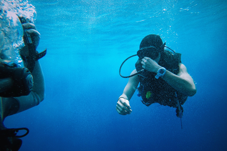 Sharm El Sheikh :Diving Trip In Sharks Bay