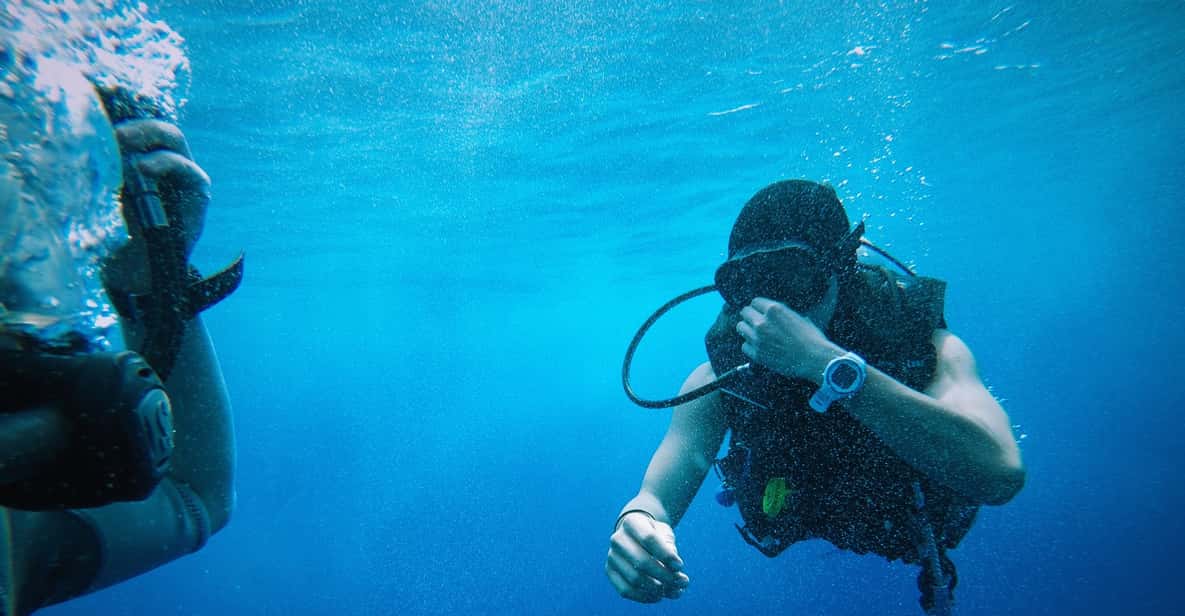 From Sharm El Sheikh Sharks Bay Scuba Diving Trip GetYourGuide