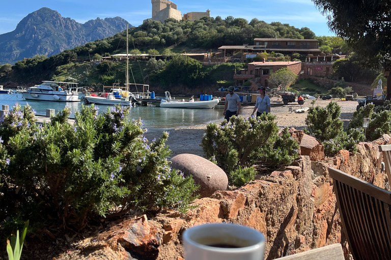 Cargèse : Scandola, Girolata et Piana : tour en bateau l'après-midiCargèse : Scandola, Girolata et Piana : visite en bateau l'après-midi