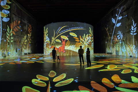 Bordeaux : Bassins des Lumières Billet Le Petit Prince