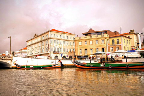 From Lisbon: Private Tour to Aveiro with Drop-off in Porto