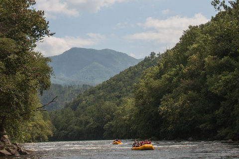 Z Hartford: spływ tratwami po rzece Upper Pigeon River