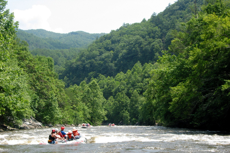 Z Hartford: spływ tratwami po rzece Upper Pigeon River