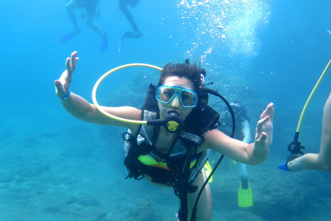 Alanya: Turtle Island Scuba Diving (2 Dives) Private group option