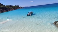 Curious, St Pierre, harina, todo incluido 2 paradas de snorkel - Housity