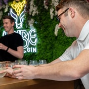 Galway: Gin Tasting Tour with Gin School Experience