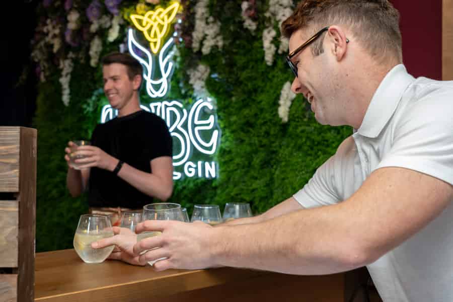 Galway: Gin Tasting Tour with Gin School Experience