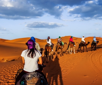 Fra Fez: Sahara-ørkenen 2-dagers tur med Merzouga Camp Stay