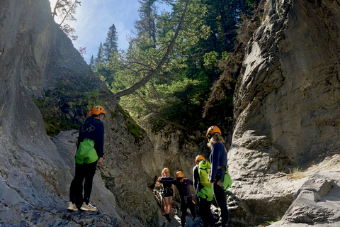 Banff: Excursão de meio dia para Canyoning para iniciantes