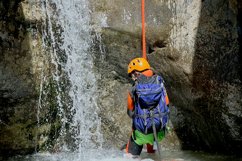 Banff : Excursion d'une demi-journée pour les débutants en canyoning