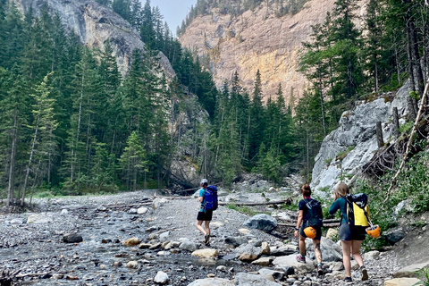 Banff: Canyoning-Anfänger-Halbtagestour