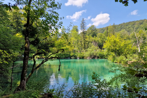 From Zadar: Plitvice Lakes Guided Tour with Boat & Train
