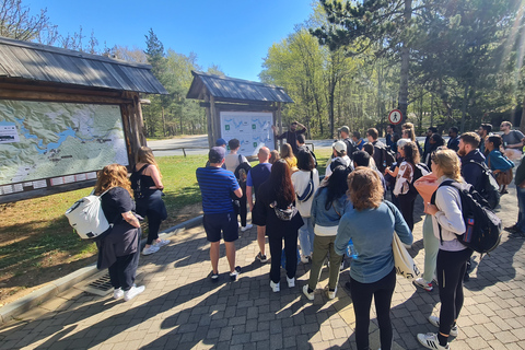 From Zadar: Plitvice Lakes Guided Tour with Boat & Train