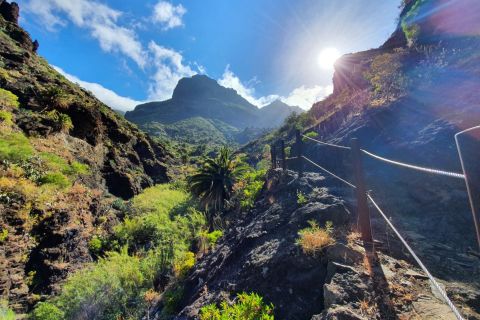 Tenerife: Masca Ravine Caminhadas de tirar o fôlego