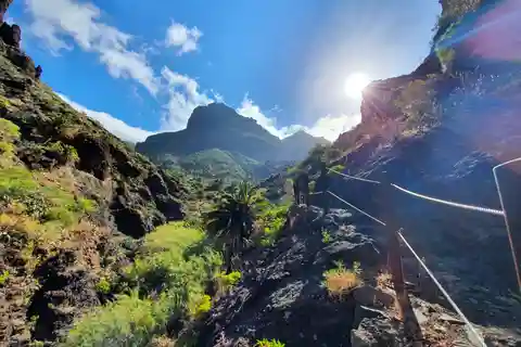 Begeleide wandeling door de Masca-kloof + boottocht + vervoer