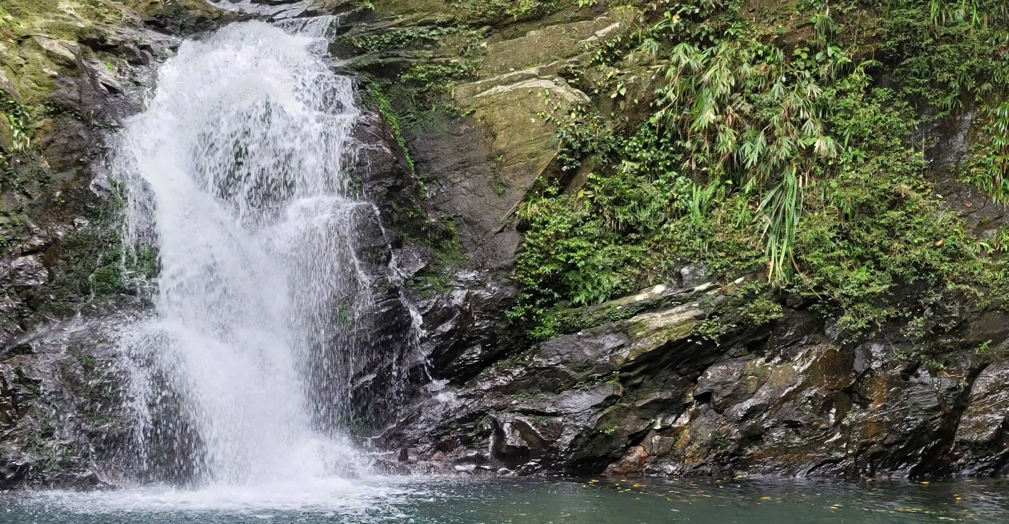 From Hue, Bach Ma National Park Hiking Day Trip with Pickup - Housity