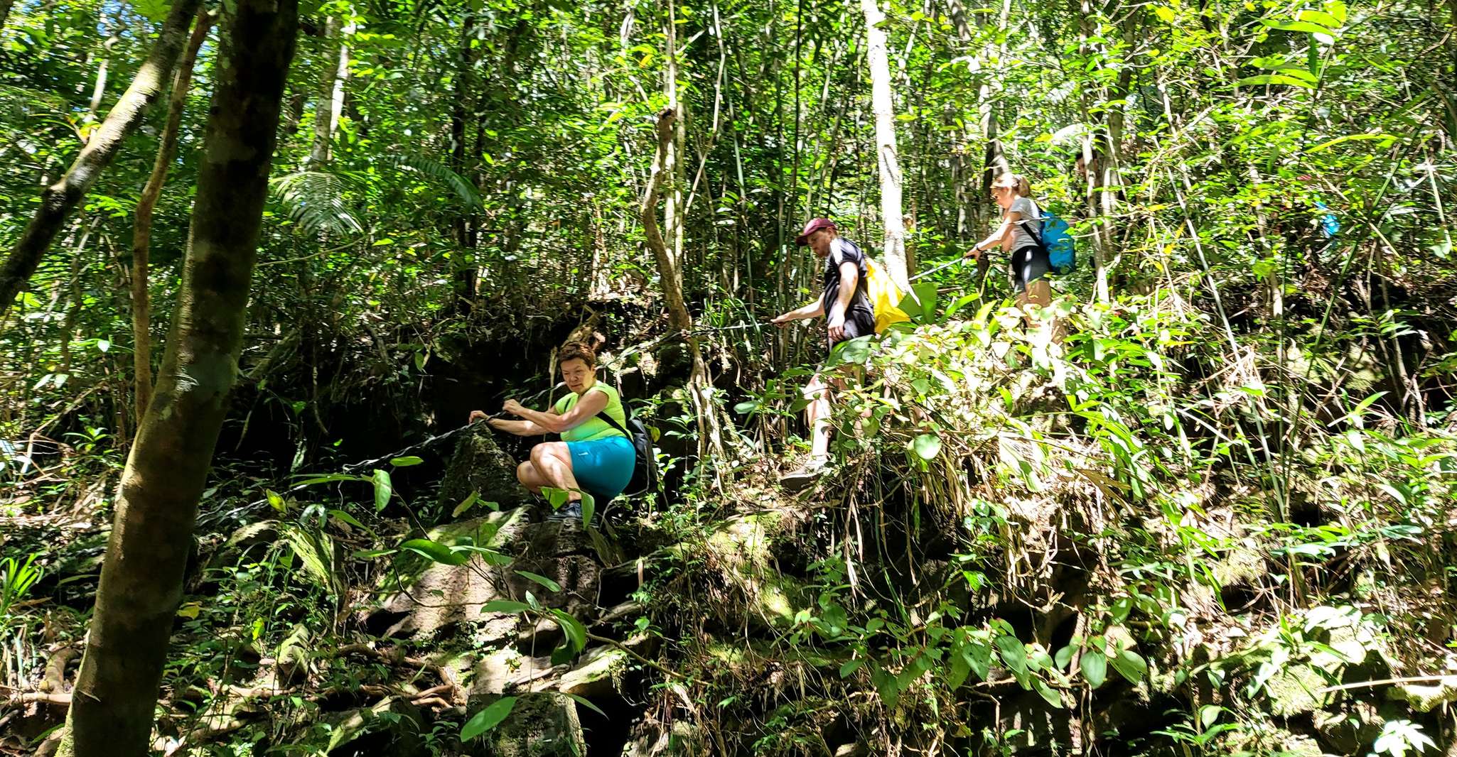 From Hue, Bach Ma National Park Hiking Day Trip with Pickup - Housity