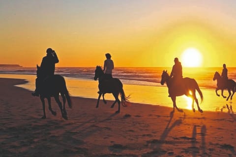 Antalya: Horse Riding Tour with Sunrise and Sunset Options