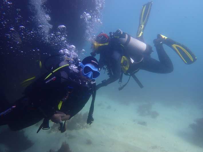 Sesimbra: immersioni subacquee per principianti nel parco marino Prof. Luiz S.