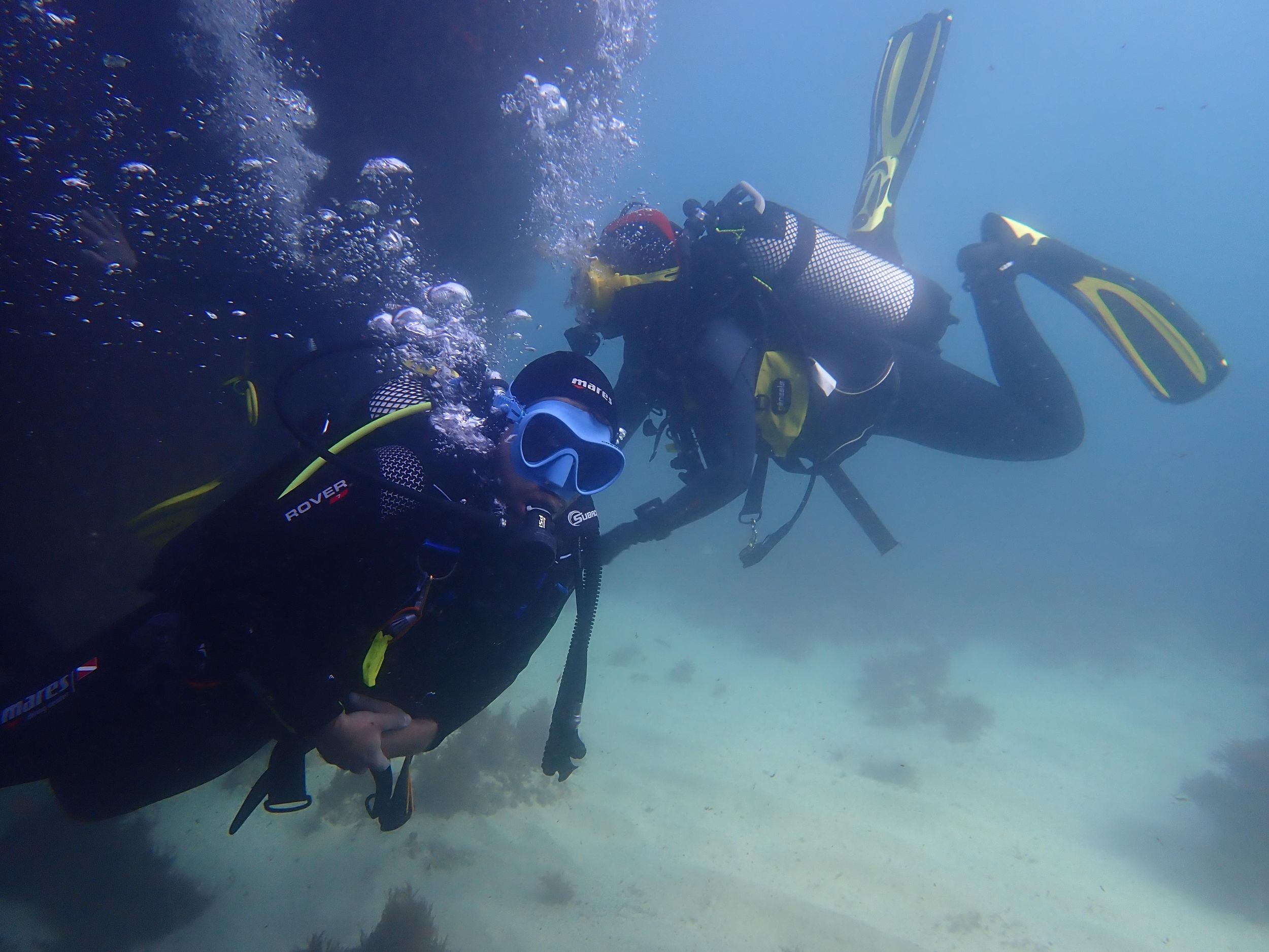 Lissabon: Probiere das Tauchen im Arrábida Marine Reserve Setubal Sesimbra aus