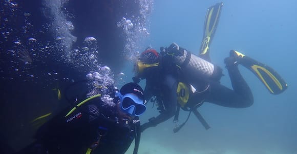 Lisbon: Try Dive in Arrábida Marine Reserve Setubal Sesimbra