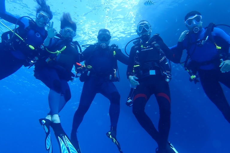 Sesimbra: duiken voor beginners in het prof. Luiz S. Marine Park