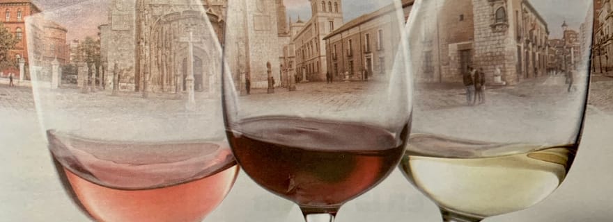 Valladolid : visite guidée privée avec dégustation de tapas et de vins