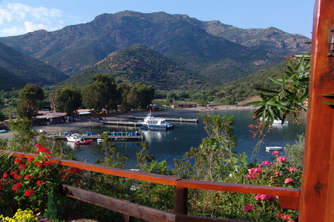 Cargèse: Scandola and Piana Boat Tour with Stop at Girolata