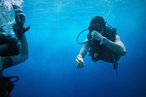Sharm El Sheikh: Tiran Island Diving Trip with Transfer