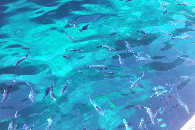 Cargèse: Passeio de barco por Scandola e Piana com parada em Girolata