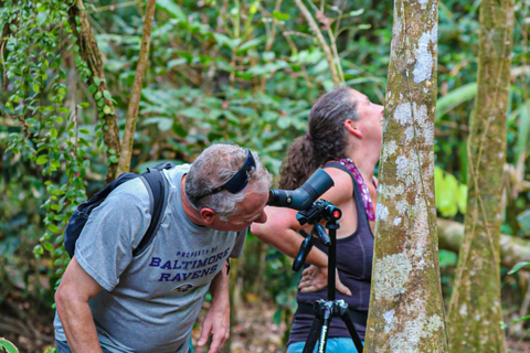 Uvita: Corcovado Rainforest & Wildlife Adventure