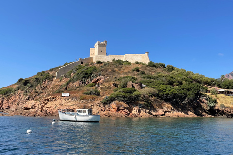 Cargèse: Scandola och Piana båttur med stopp i Girolata