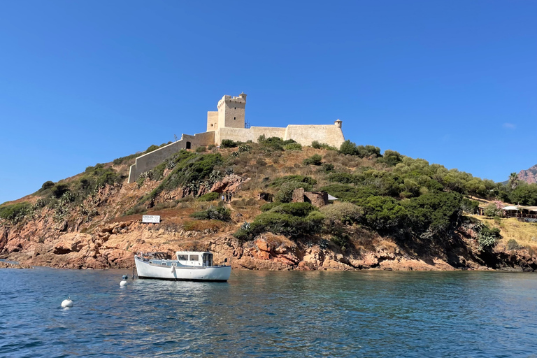 Cargèse: Passeio de barco por Scandola e Piana com parada em Girolata