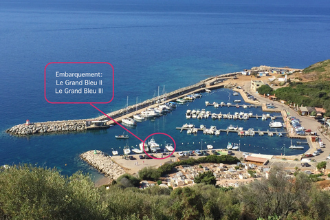 Cargèse : Scandola, Girolata et Piana : tour en bateau l'après-midiCargèse : Scandola, Girolata et Piana : visite en bateau l'après-midi